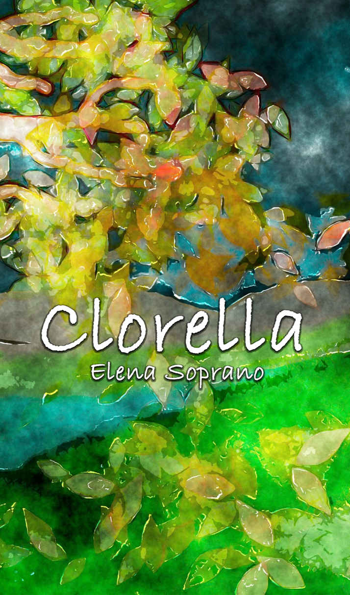 Clorella IT